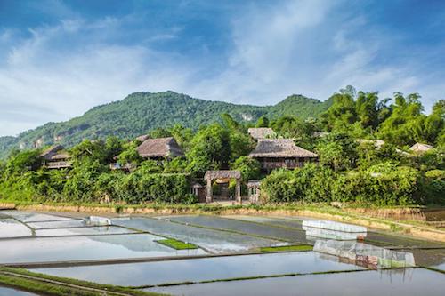 Mai Chau Eco Loge Resort